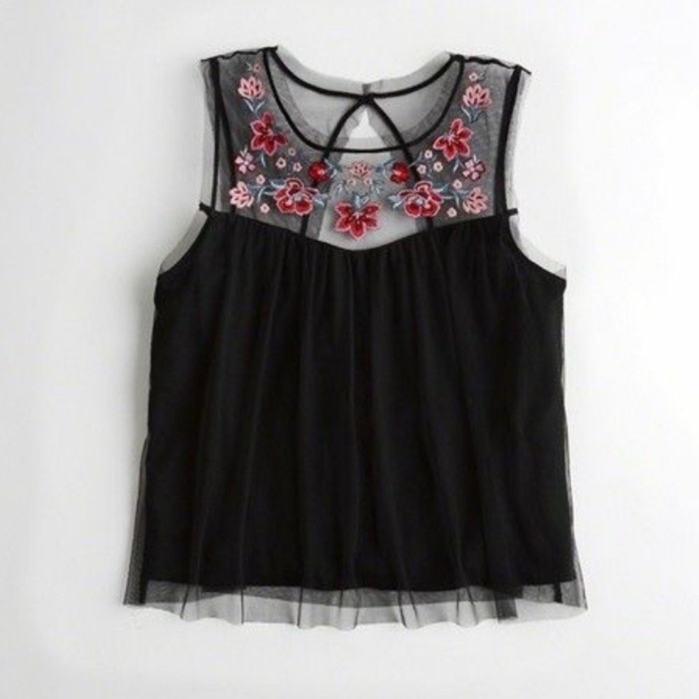 Hollister Embroided Mesh Crop Top
